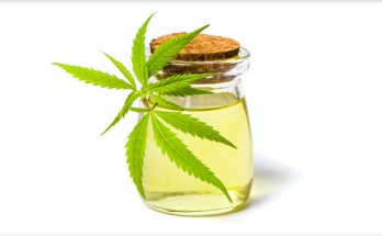 How to Choose the Right Online Dispensary in Canada?