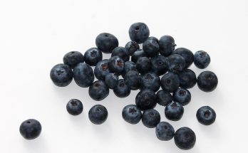 Blueberry, fruit, food — How To Choose The Right Weed Dispensary In Denver