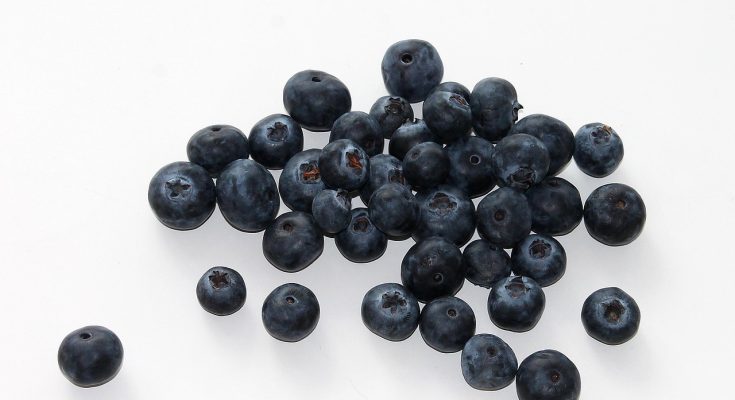Blueberry, fruit, food — How To Choose The Right Weed Dispensary In Denver