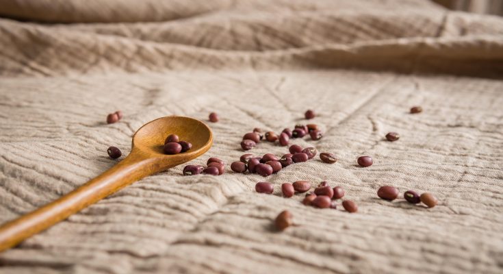 Beans, vegetable, raw — Kushi Macro Diet With a mug of Eastern Philosophy
