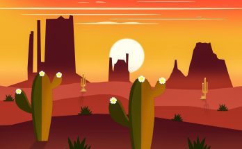 Cactus, flowers, nature — Local SEO, Social Media and More: Services of a California Digital Marketing Company