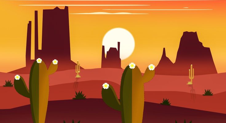 Cactus, flowers, nature — Local SEO, Social Media and More: Services of a California Digital Marketing Company