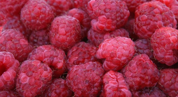 Raspberries, red, fruits — Medicare Supplement Plans and Their Coverage