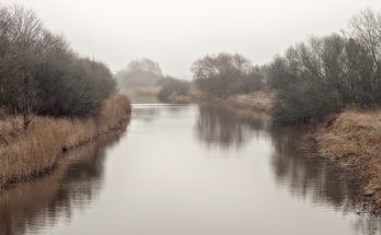 Riverbank, fog, flow — Nordic IPTV Delivering Stable Streams for a Complete Nordic TV Experience