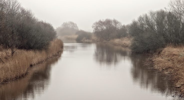 Riverbank, fog, flow — Nordic IPTV Delivering Stable Streams for a Complete Nordic TV Experience