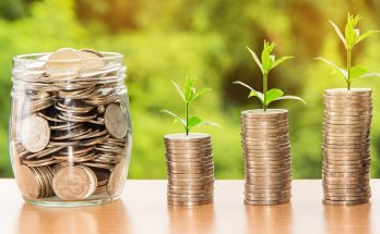 Money, profit, finance — Top Picks: The Best PDF Editors for Comprehensive Document Control