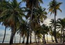 PharmaEssentia Puerto Rico Plant: A Smart Expansion Move